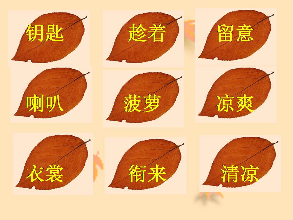 ppt课件秋天的雨