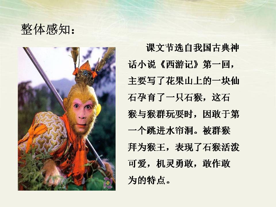 21猴王出世ppt完美