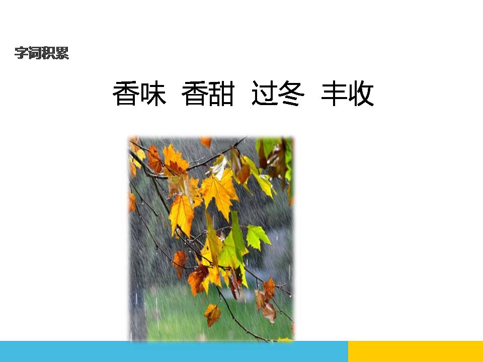 秋天的雨公开课ppt