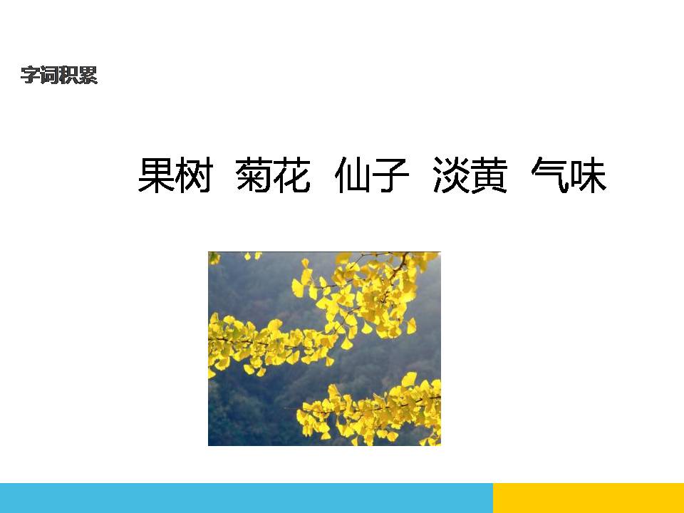 秋天的雨公开课ppt