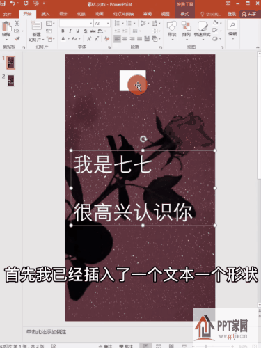 动图1.gif