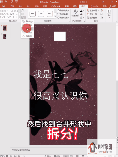 动图2.gif