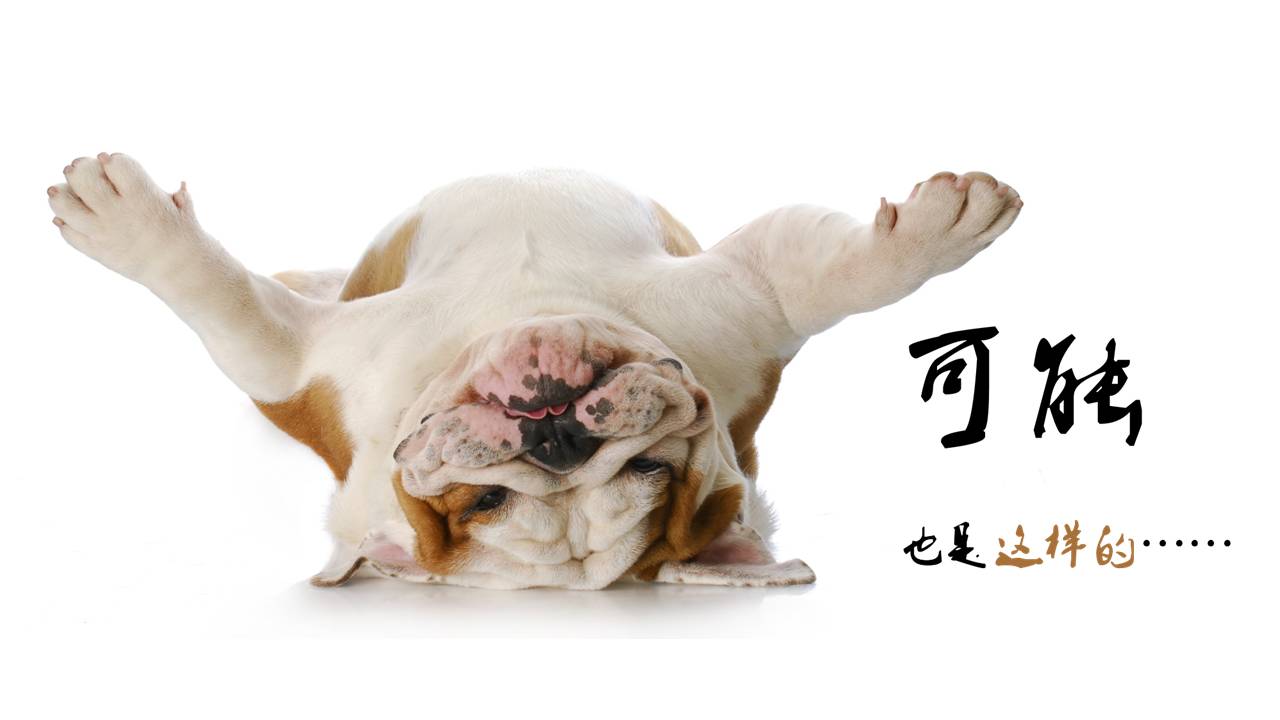 给好友庆生的ppt模板