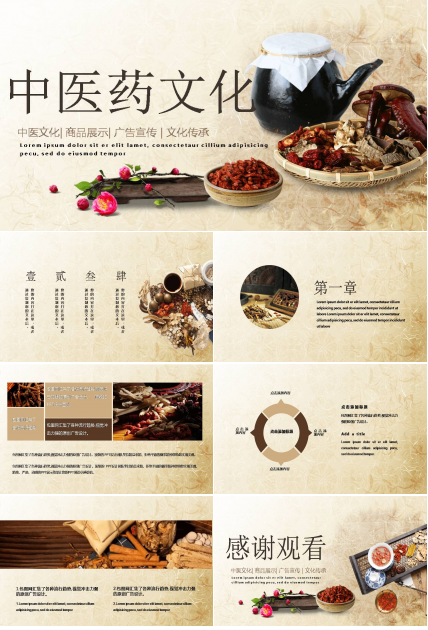 中药学ppt模板