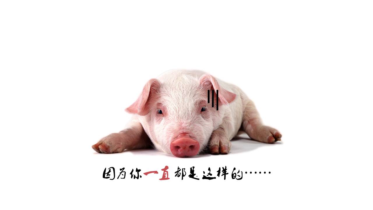 给好友庆生的ppt模板