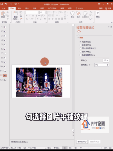 动图4.gif