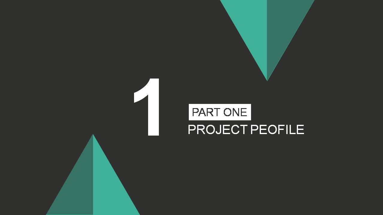 互联网创业的项目ppt 