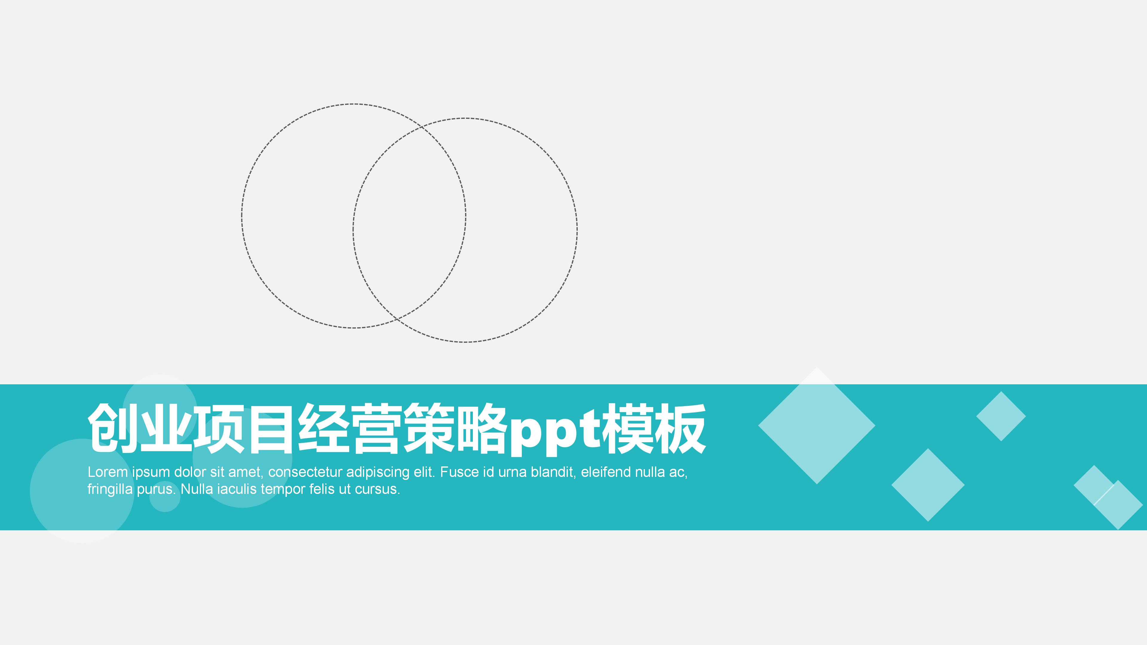 创业项目经营策略ppt模板