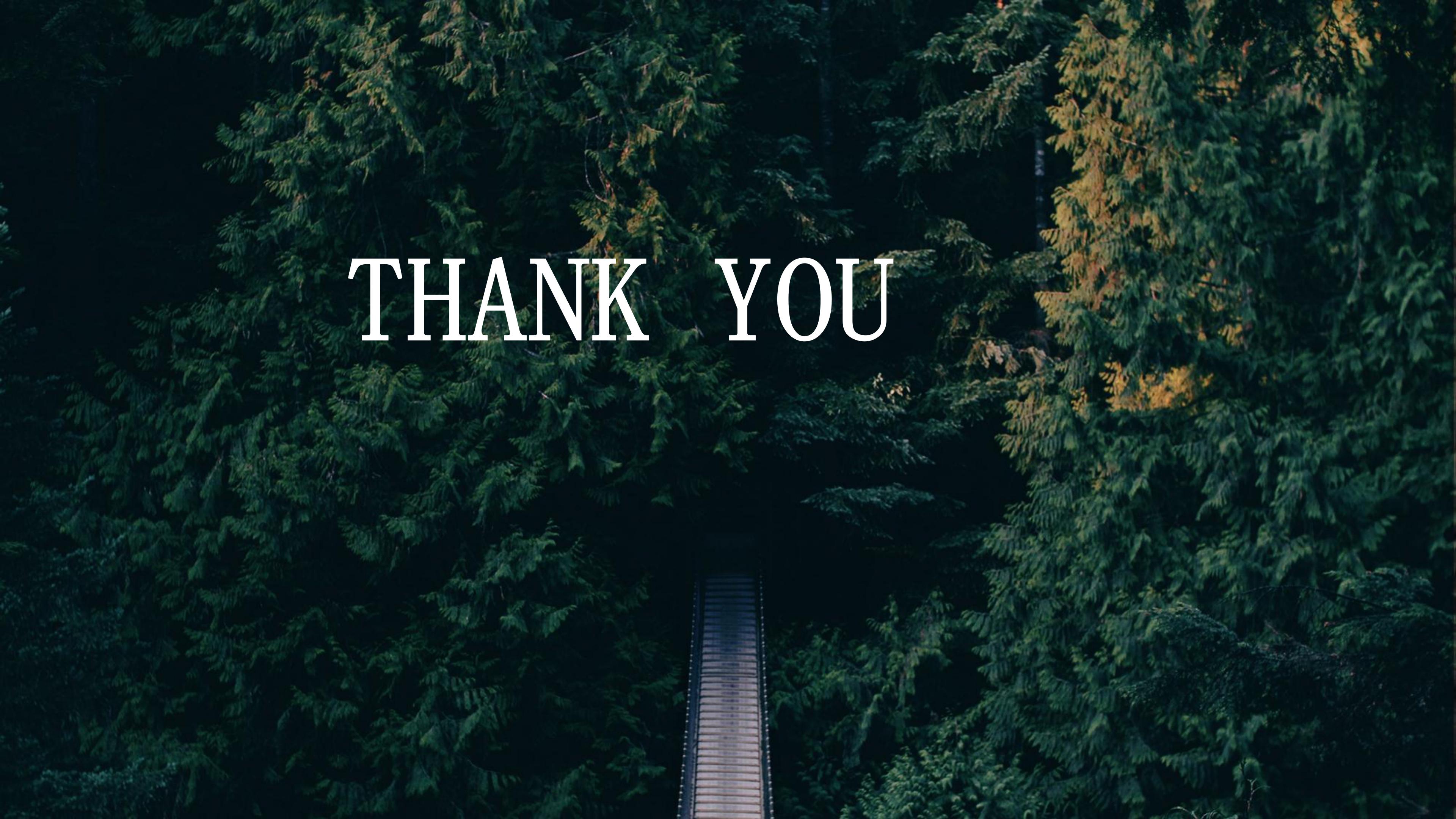 个人工作心路历程ppt模板