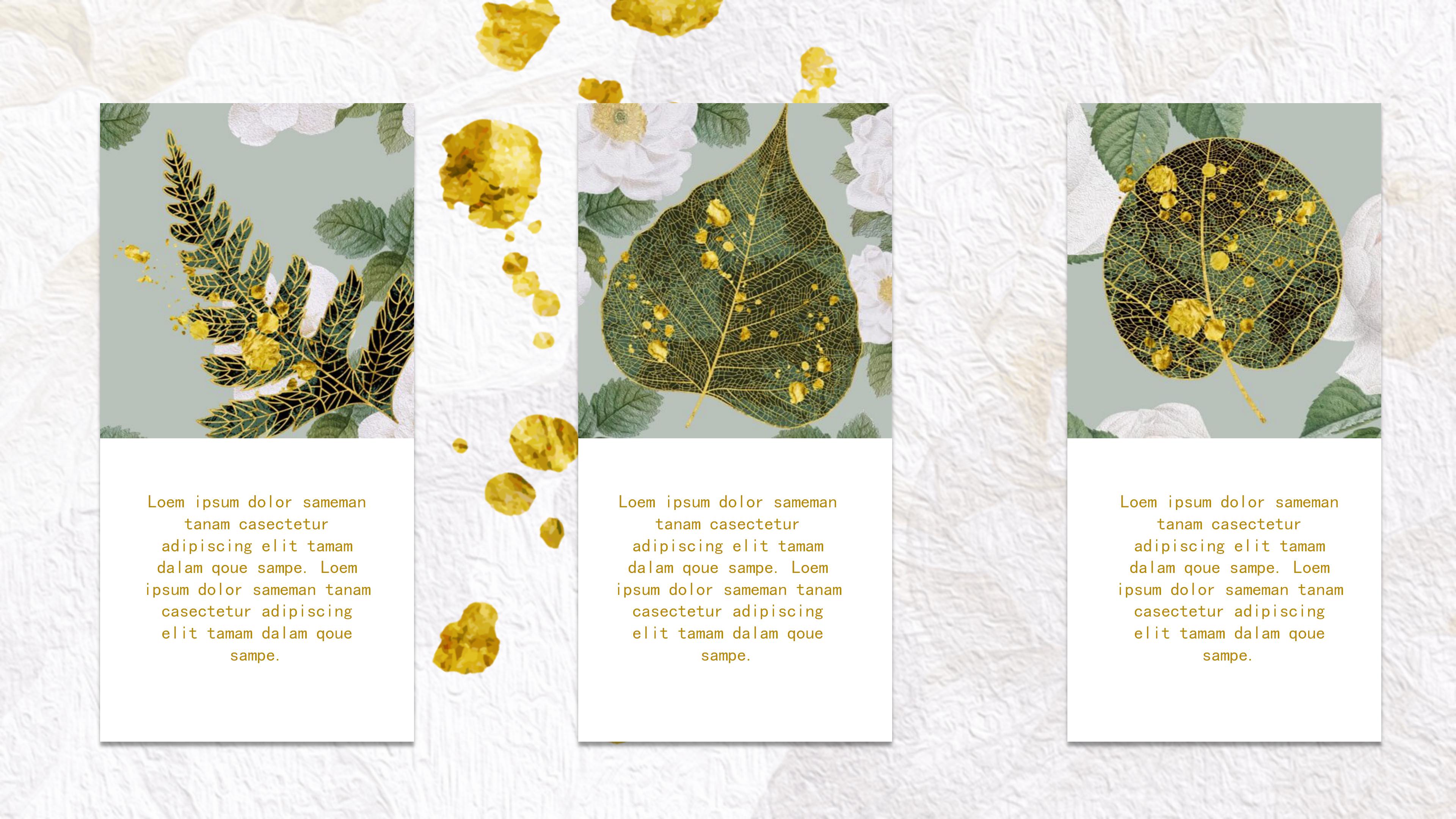 质量改善规划ppt模板