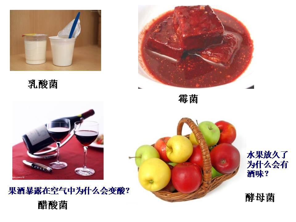 渊源流长的发酵技术ppt模板