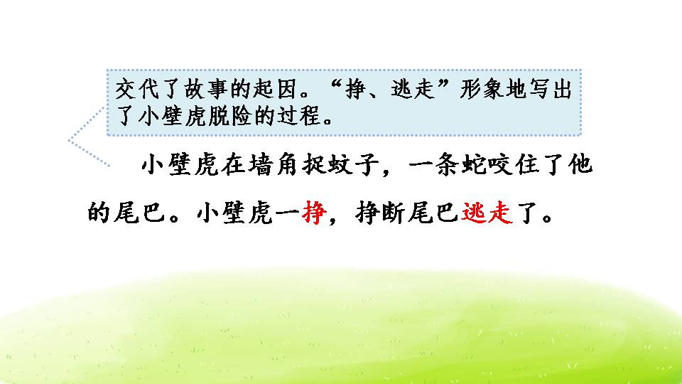 小壁虎借尾巴ppt