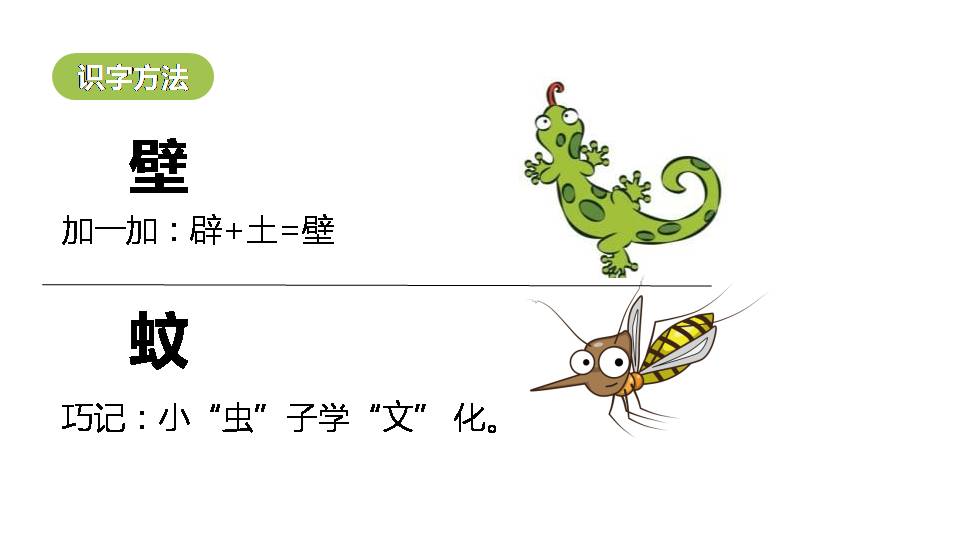 小壁虎借尾巴ppt