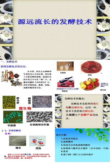 渊源流长的发酵技术ppt模板