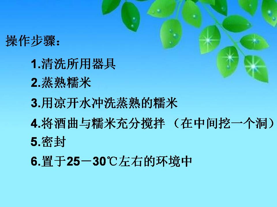 渊源流长的发酵技术ppt模板