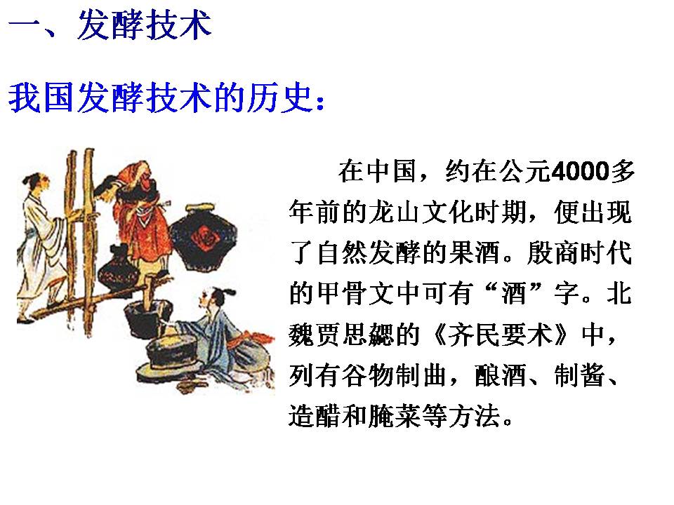 渊源流长的发酵技术ppt模板