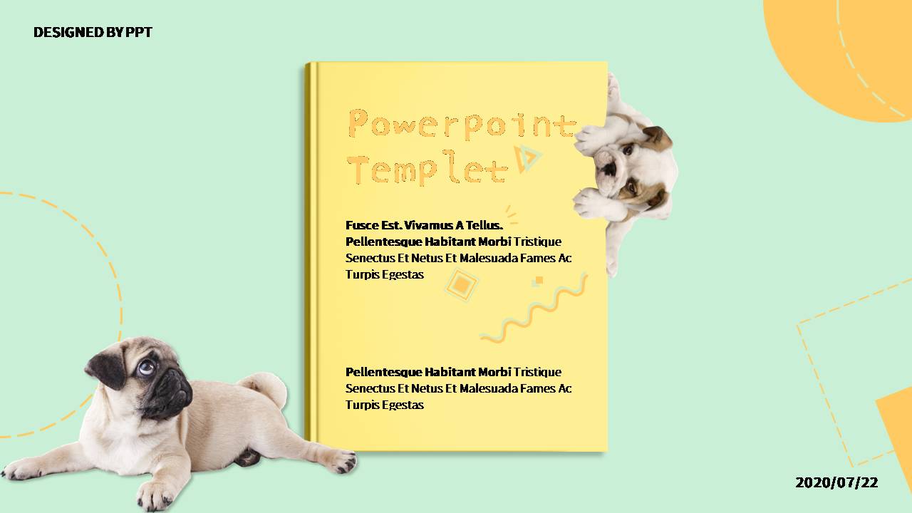 宠物模板ppt