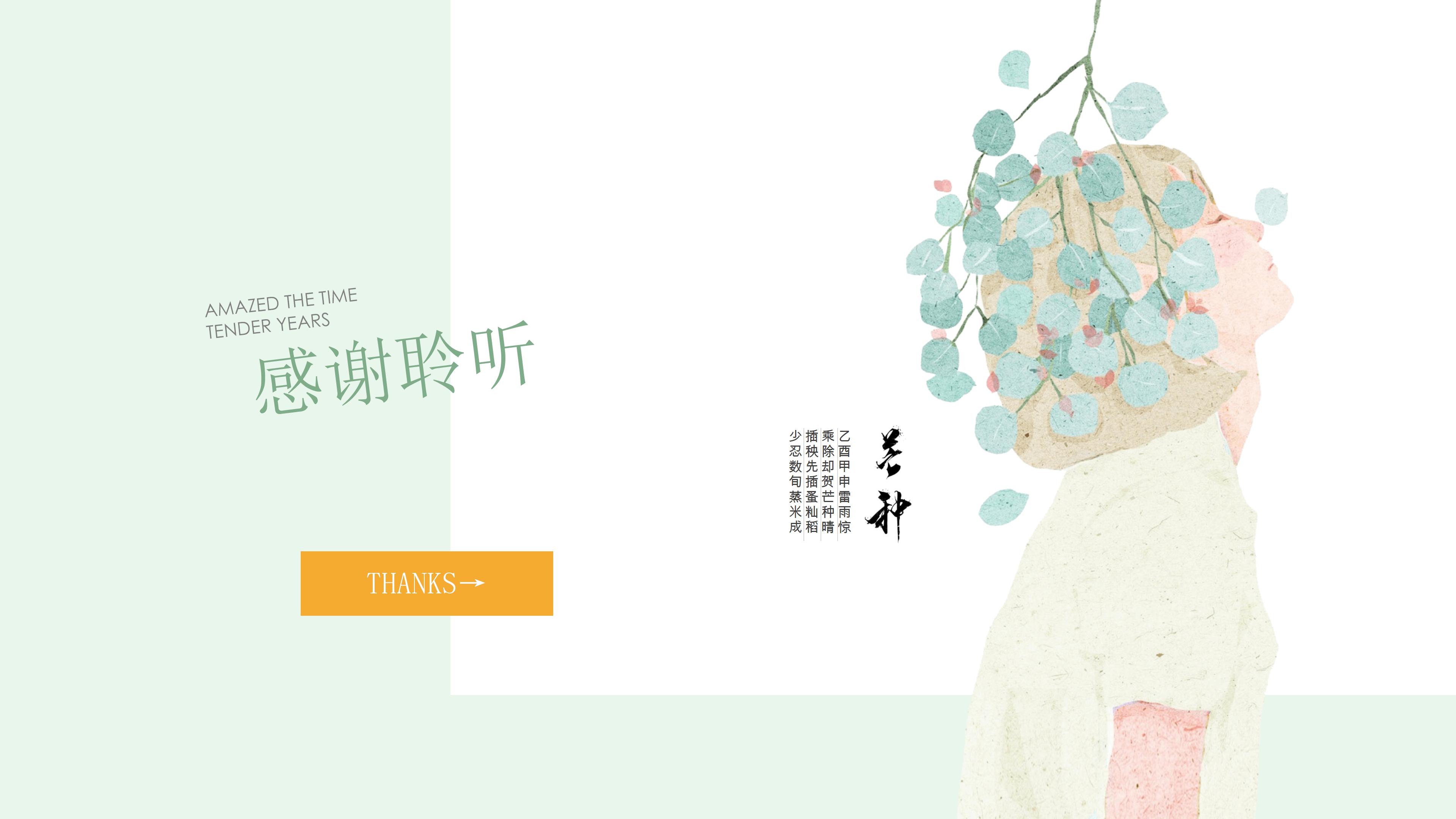 商业招商流程技巧ppt模板