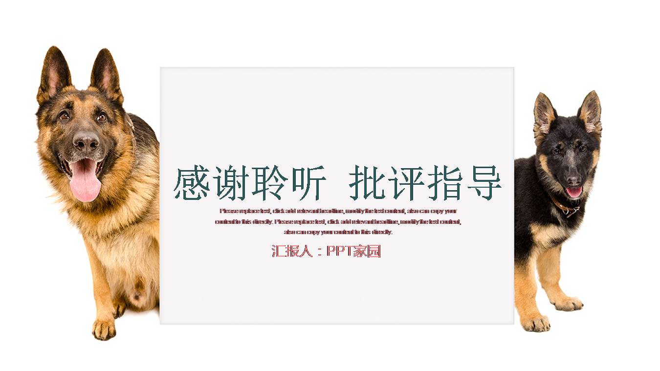 ppt模板下载宠物可爱