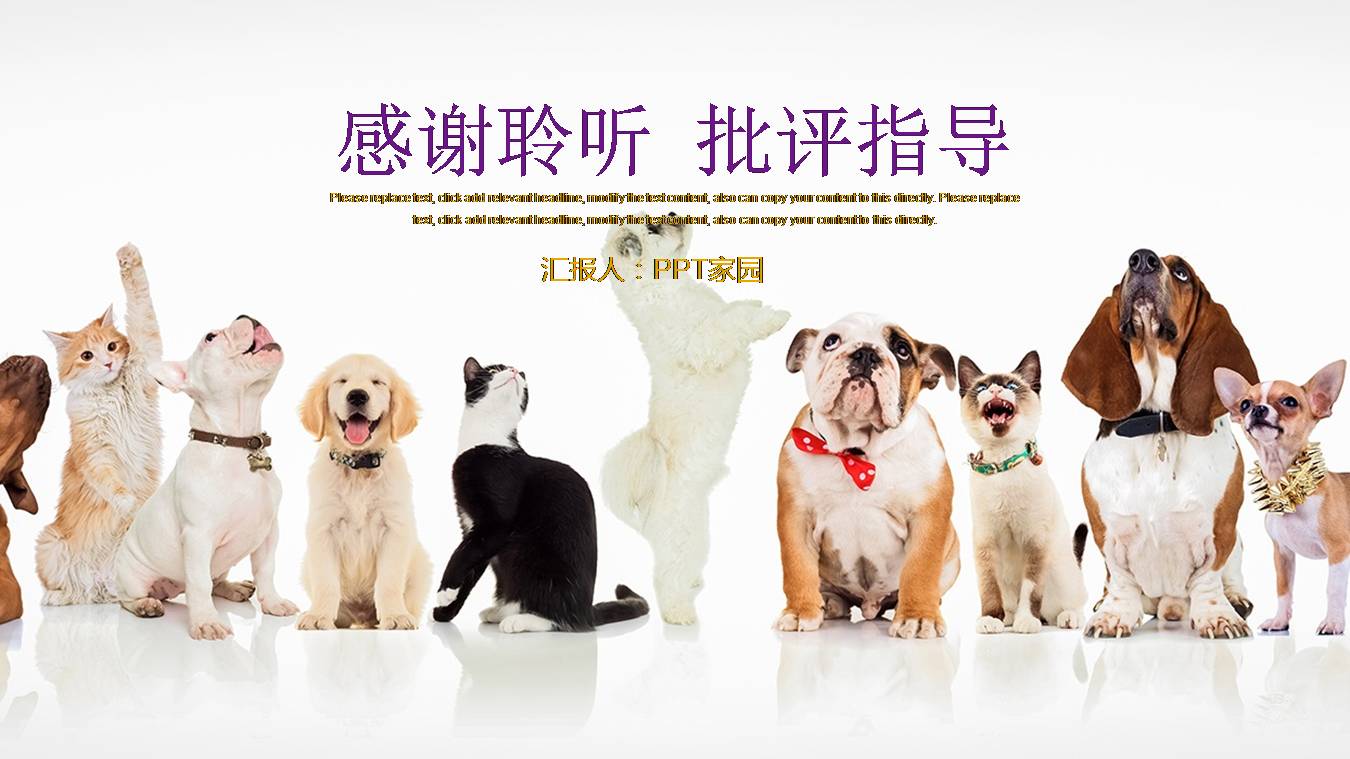 宠物公司背景ppt模板