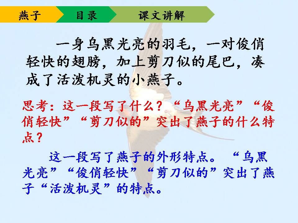 小学语文燕子说课稿ppt模板