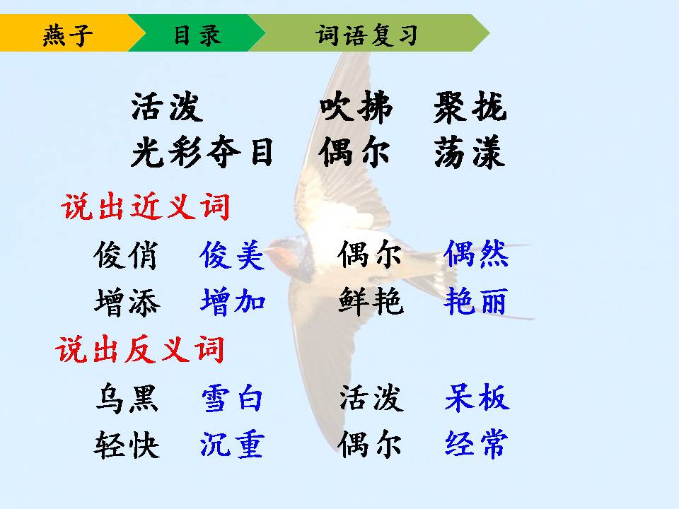 小学语文燕子说课稿ppt模板