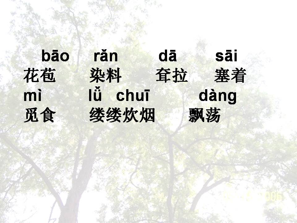槐乡的孩子ppt课件