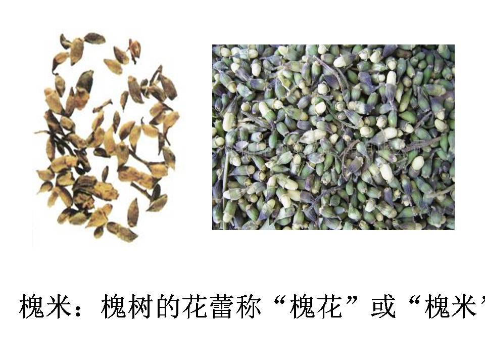 槐乡的孩子ppt课件模板