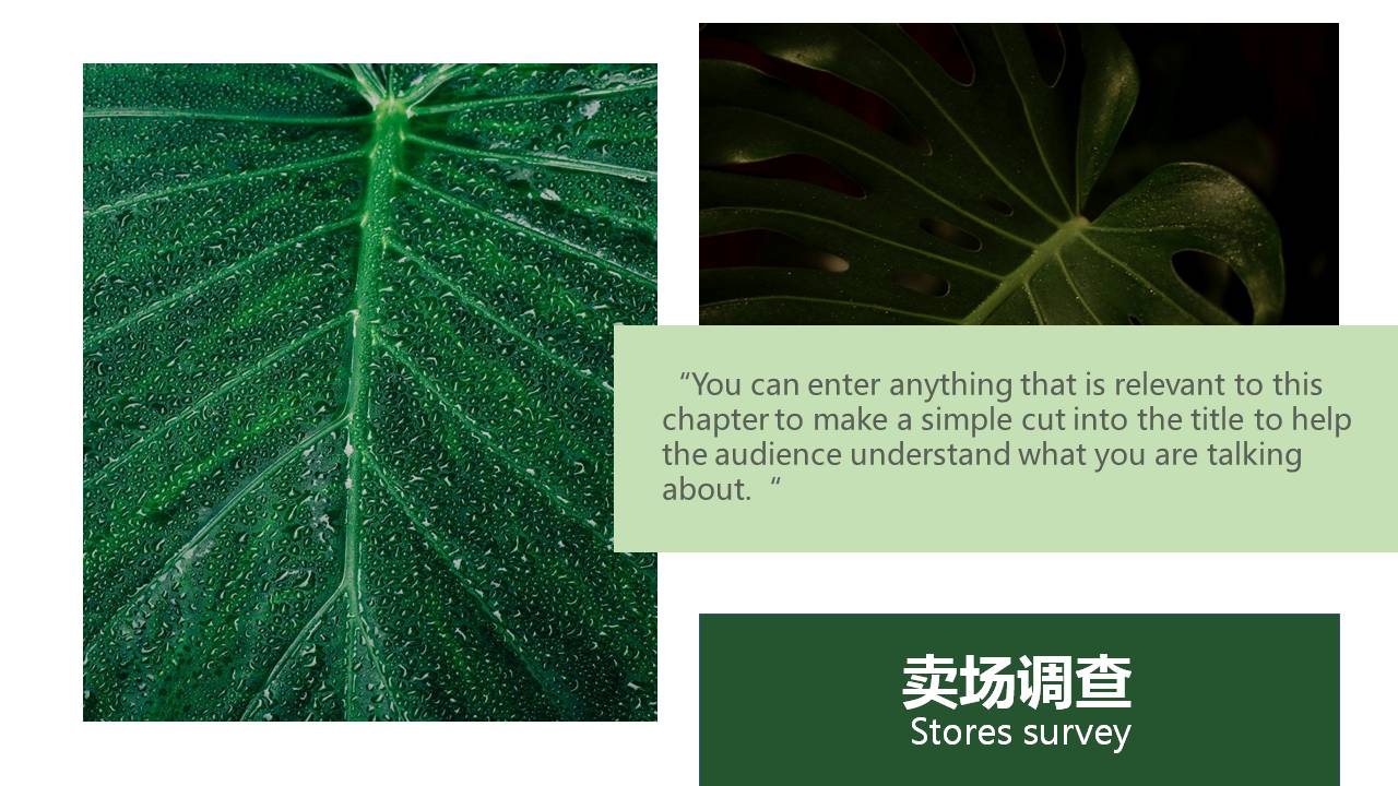 杂志广告策划ppt模板