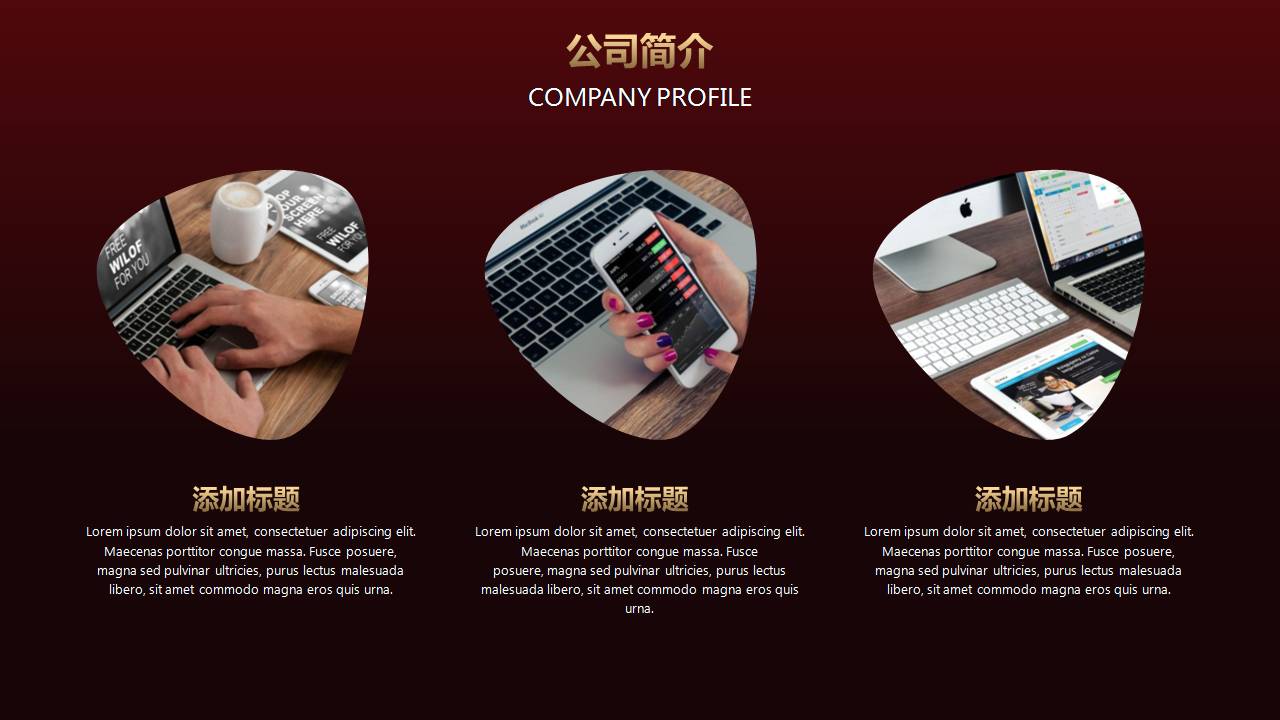 视觉空间尊贵金商业计划书ppt模板
