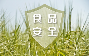 食品安全ppt模板