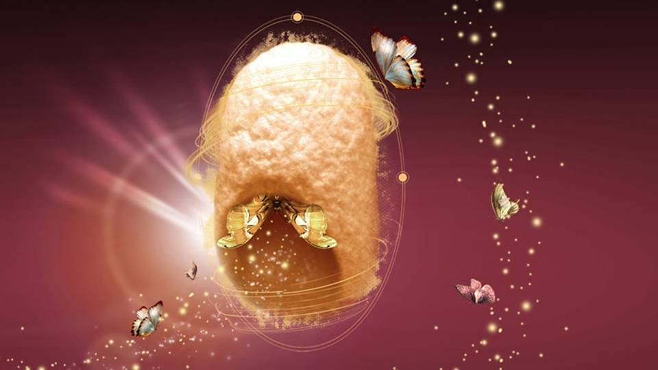 营销管理部的总结ppt