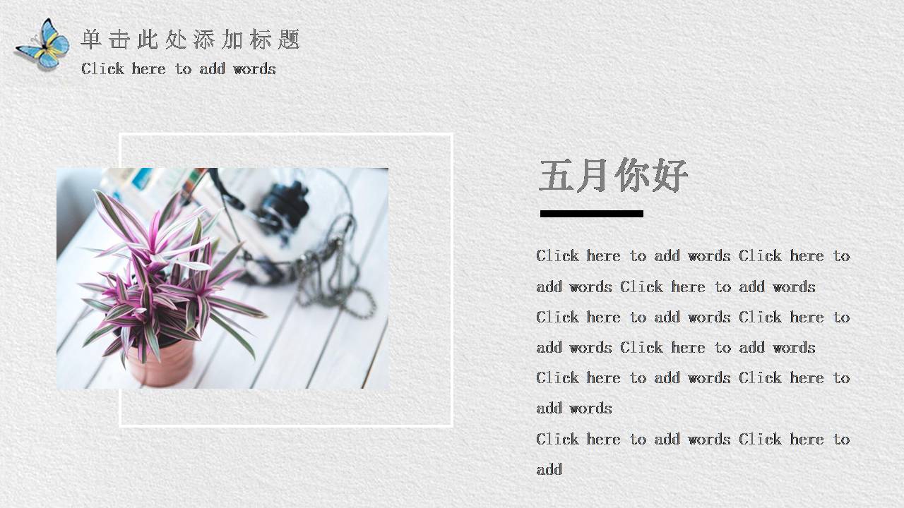 水彩花卉蝴蝶设计ppt