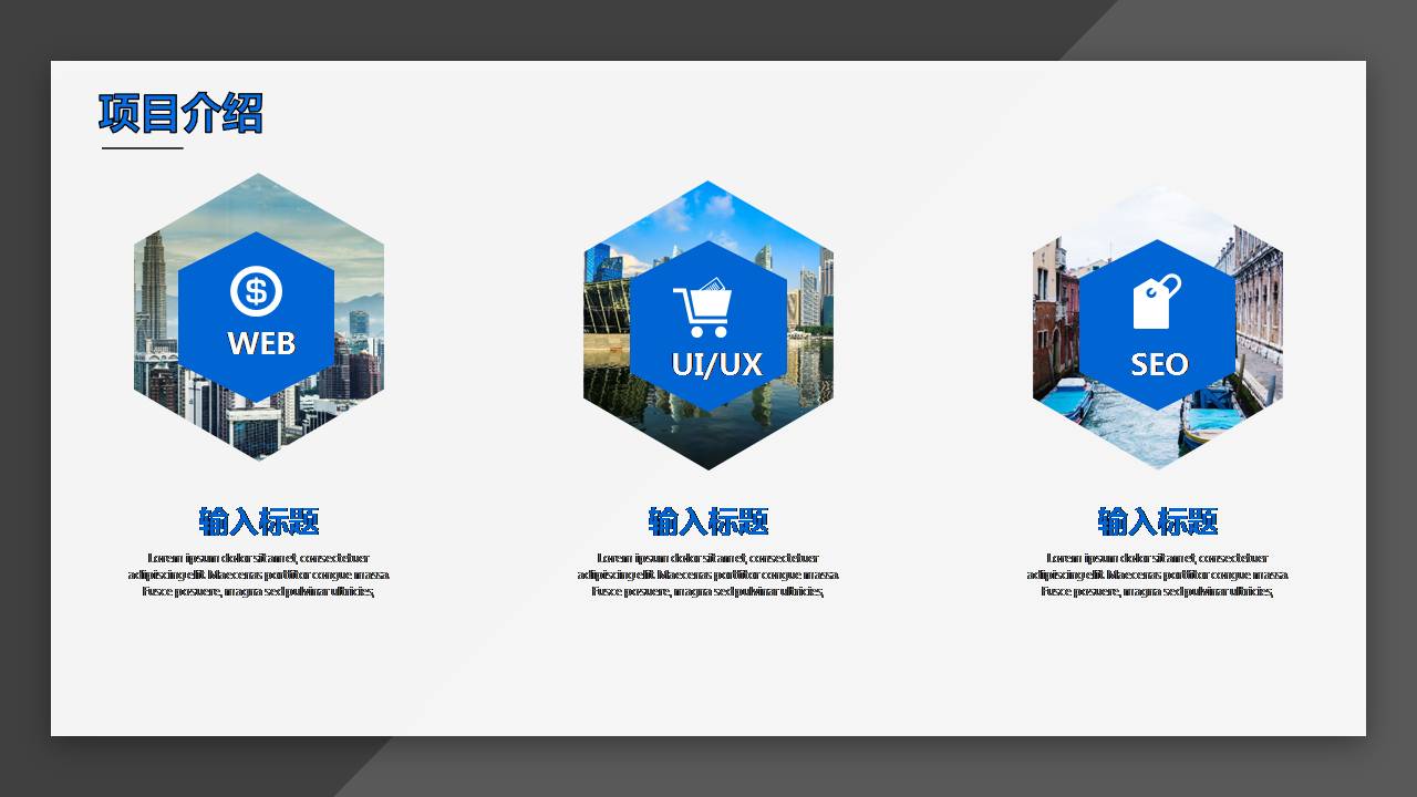 沉稳高端项目介绍ppt模板