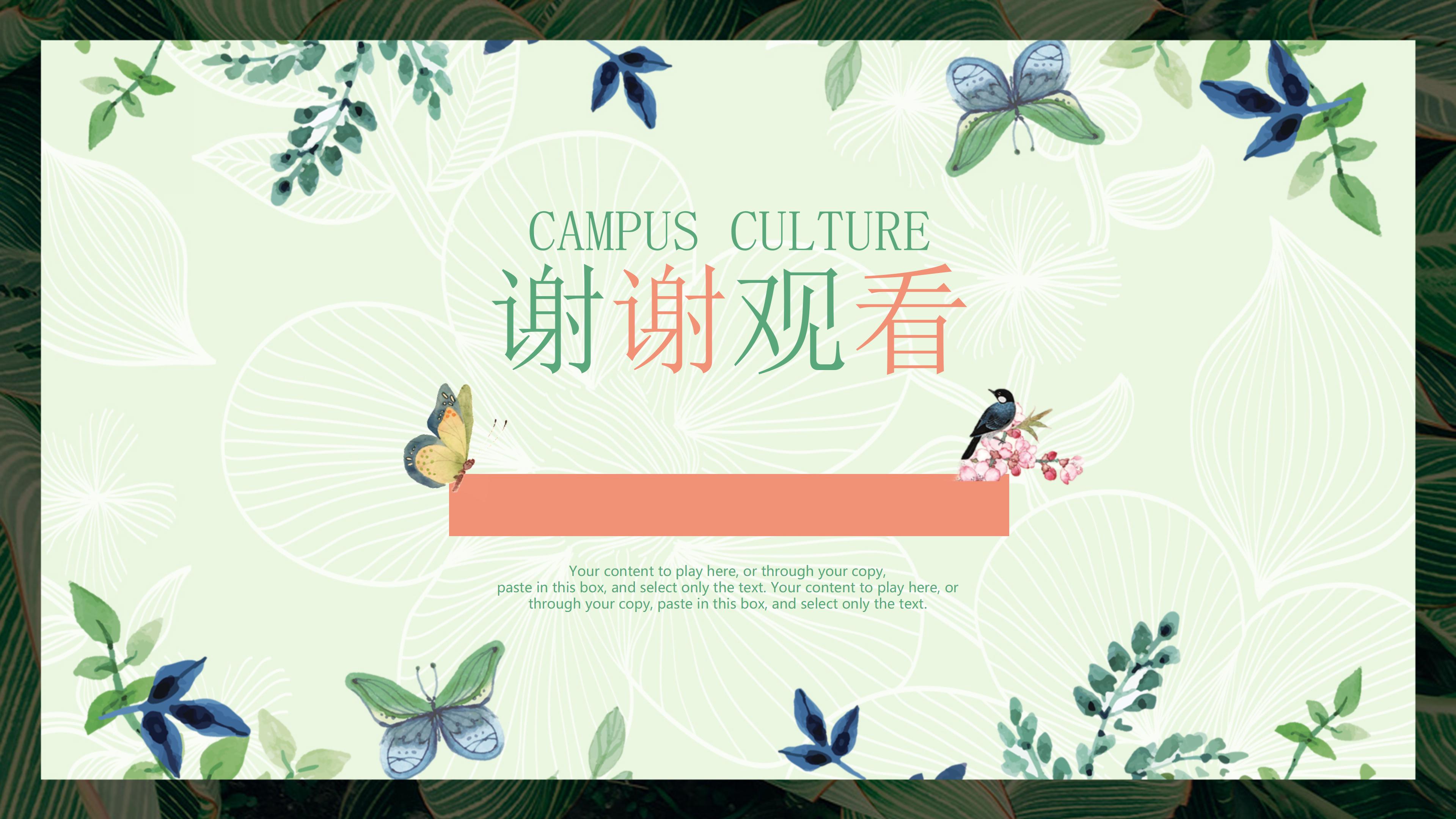 软件技术推广ppt模板