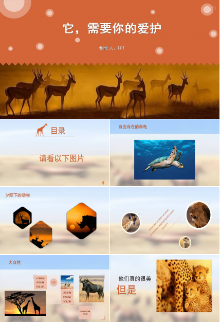 动物保护公益ppt模板