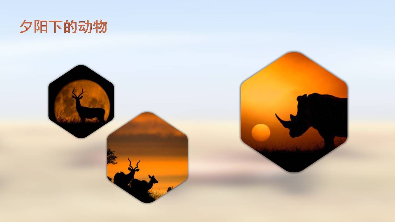 动物保护公益ppt模板