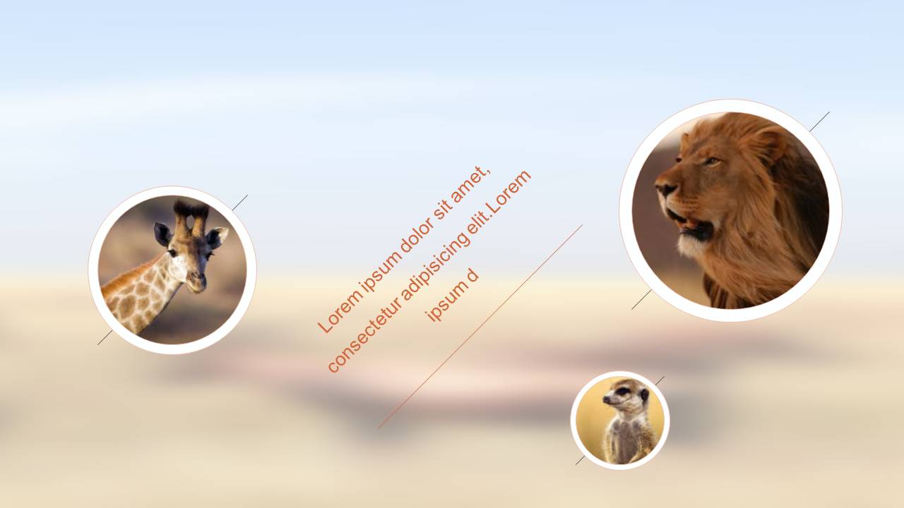 动物保护公益ppt模板