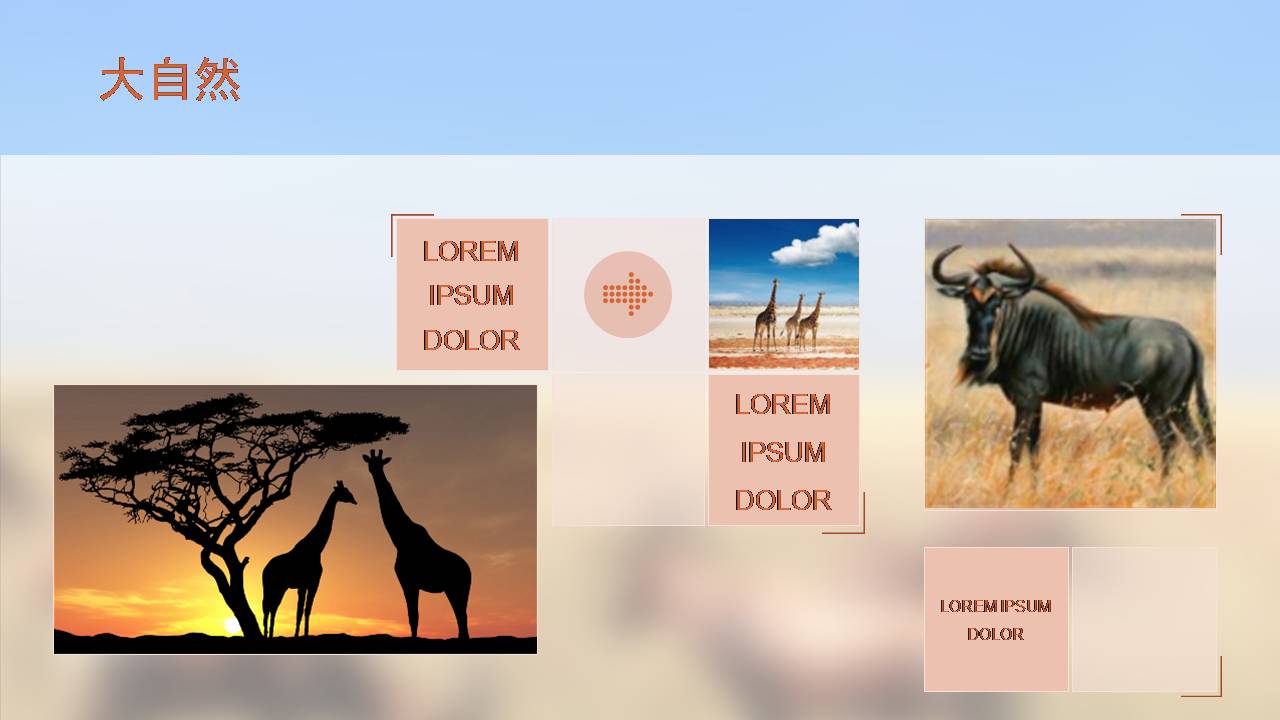 动物保护公益ppt模板