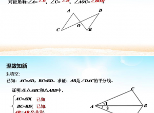 全等三角形的判定ppt课件