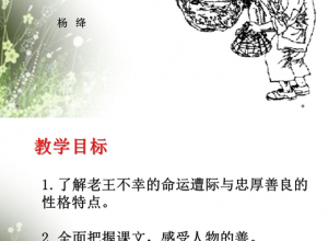 老王ppt免费推荐模板