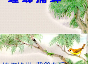 苏教版螳螂捕蝉ppt 