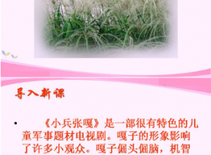 芦花荡ppt免费模板推荐