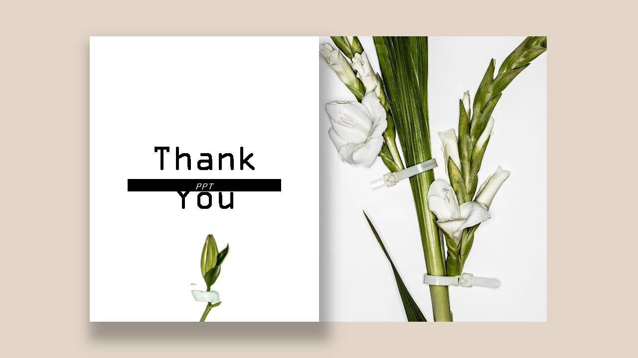 超好看的杂志风ppt背景图片模板