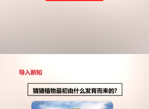 种子的萌发条件ppt讲解推荐