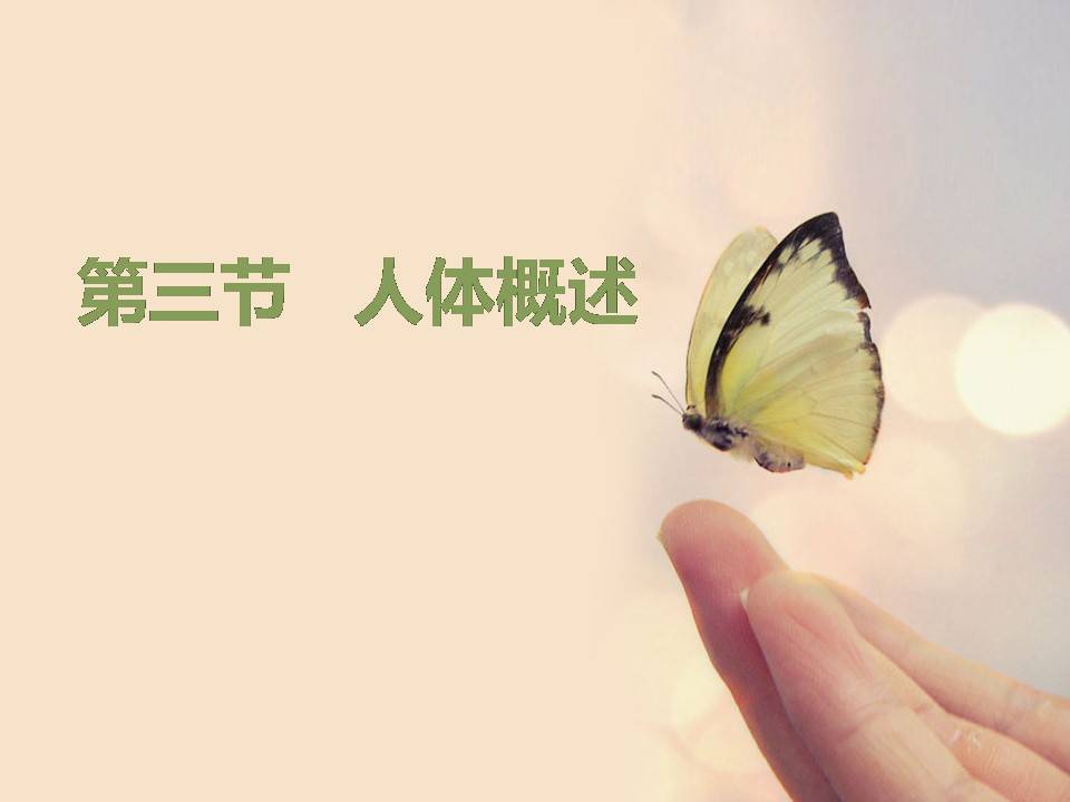 苏教版人体概述生物课件ppt