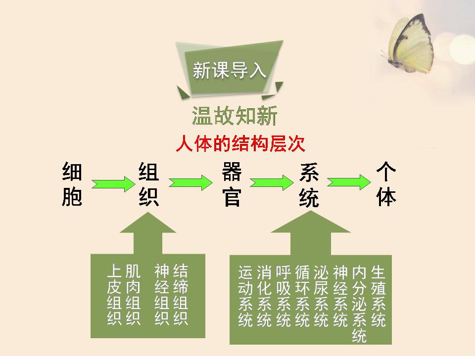 苏教版人体概述生物课件pptPPT课件下载