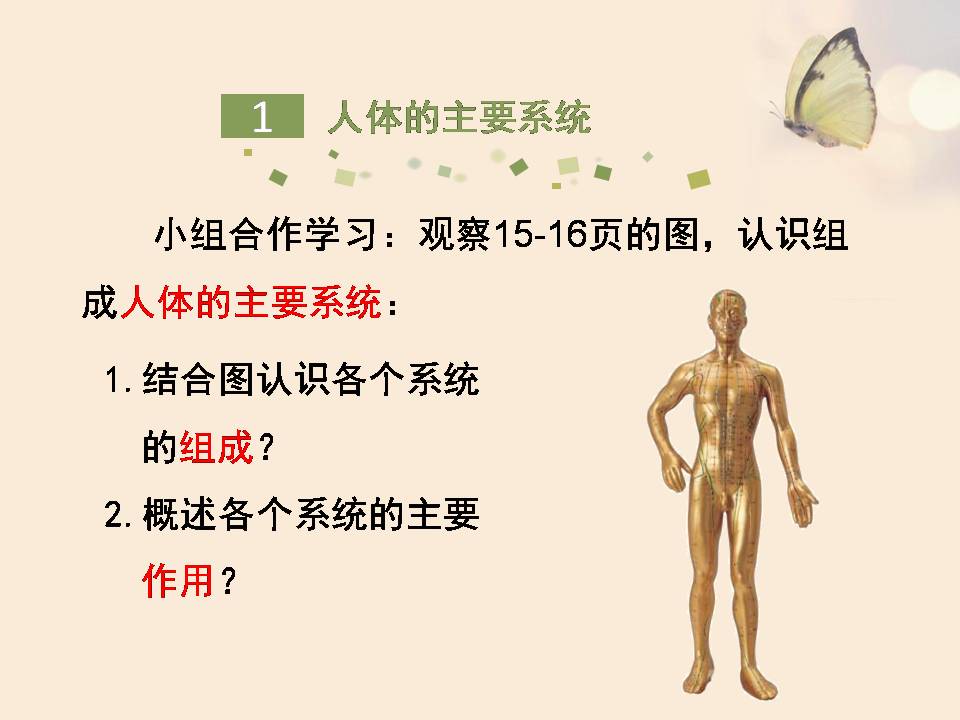 苏教版人体概述生物课件pptPPT课件下载