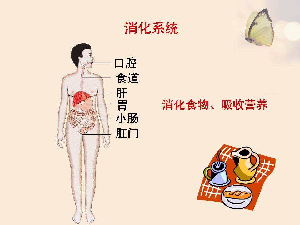 苏教版人体概述生物课件pptPPT课件下载