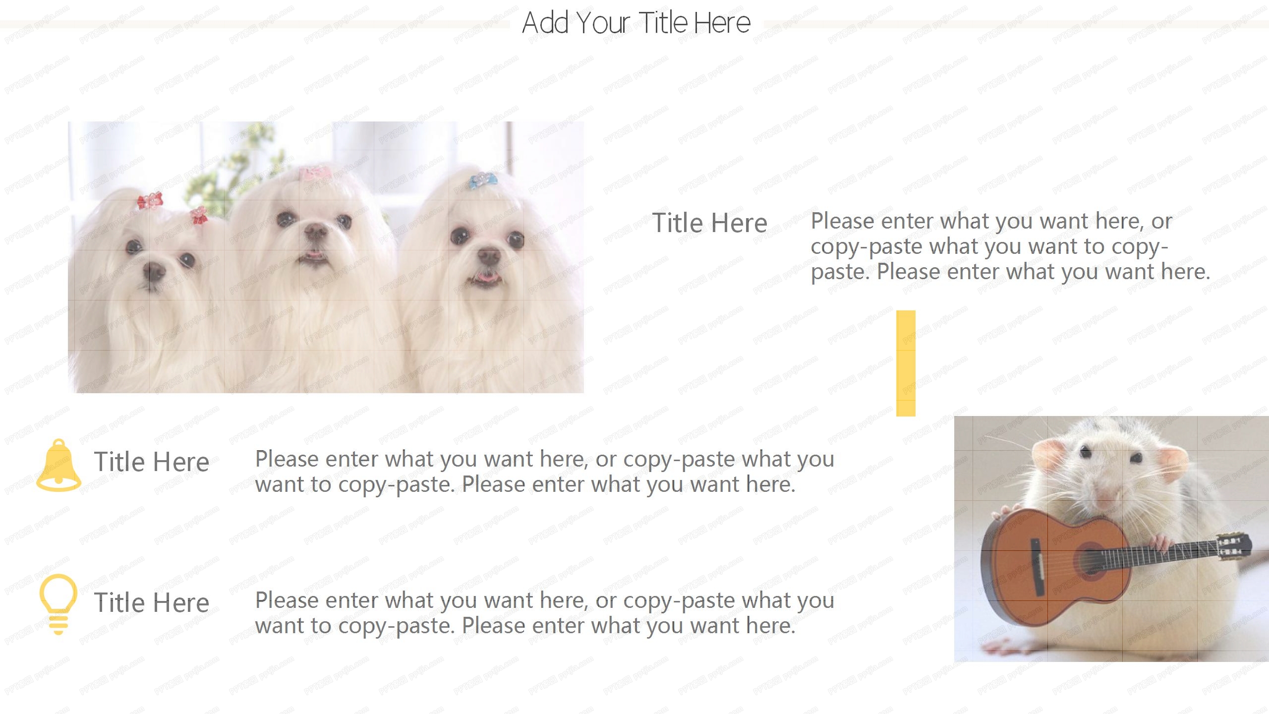 卡通黄色宠物医疗通用ppt模板